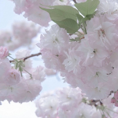 Furry插画故事感营造FurryQQ群